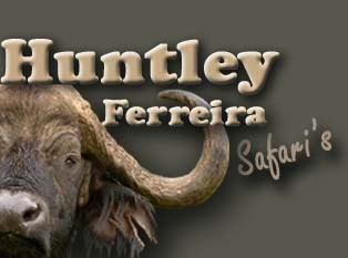 Huntley Safari